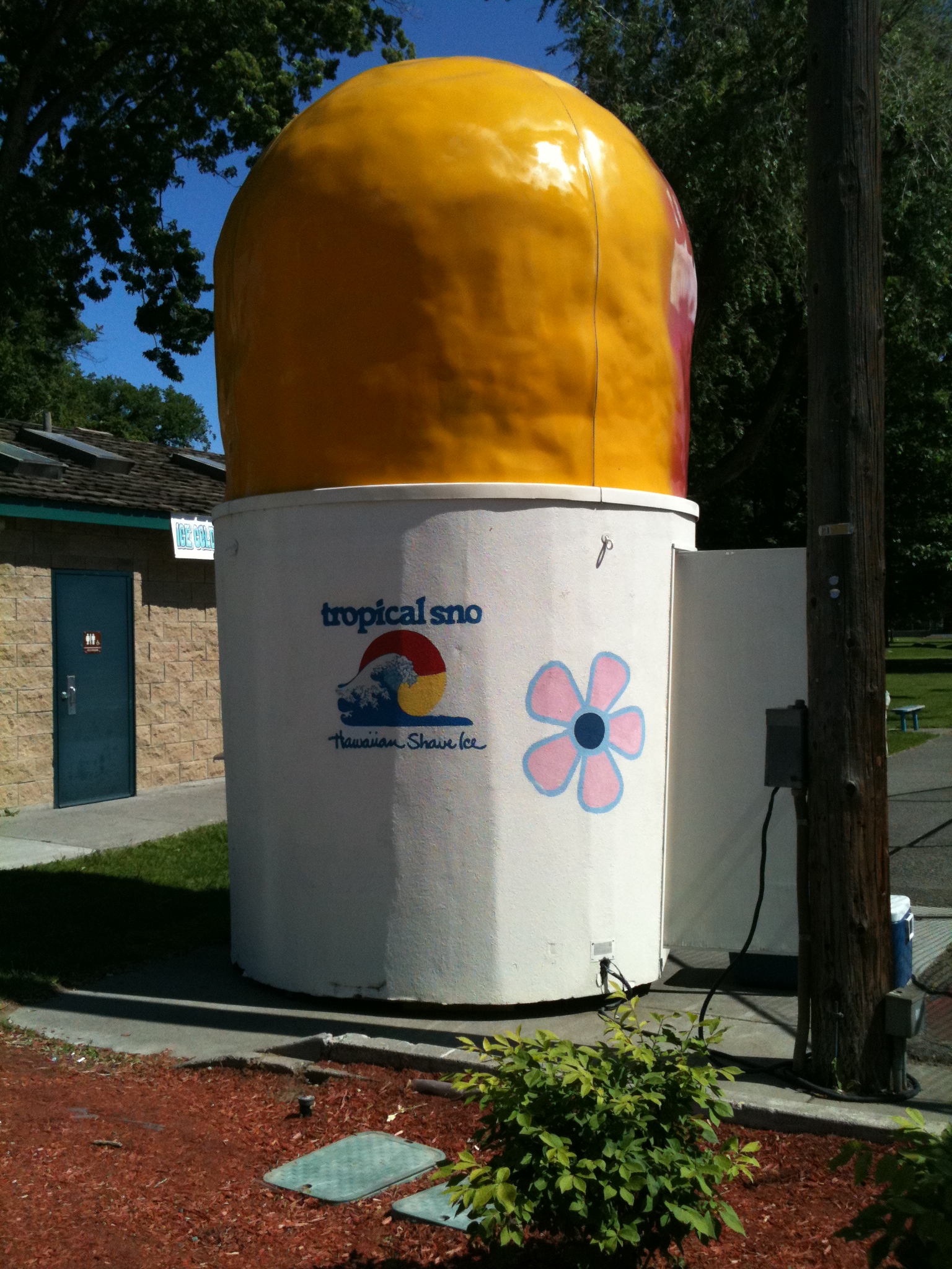 tropical sno stand